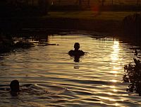 piscine coucher soleil avec nageur